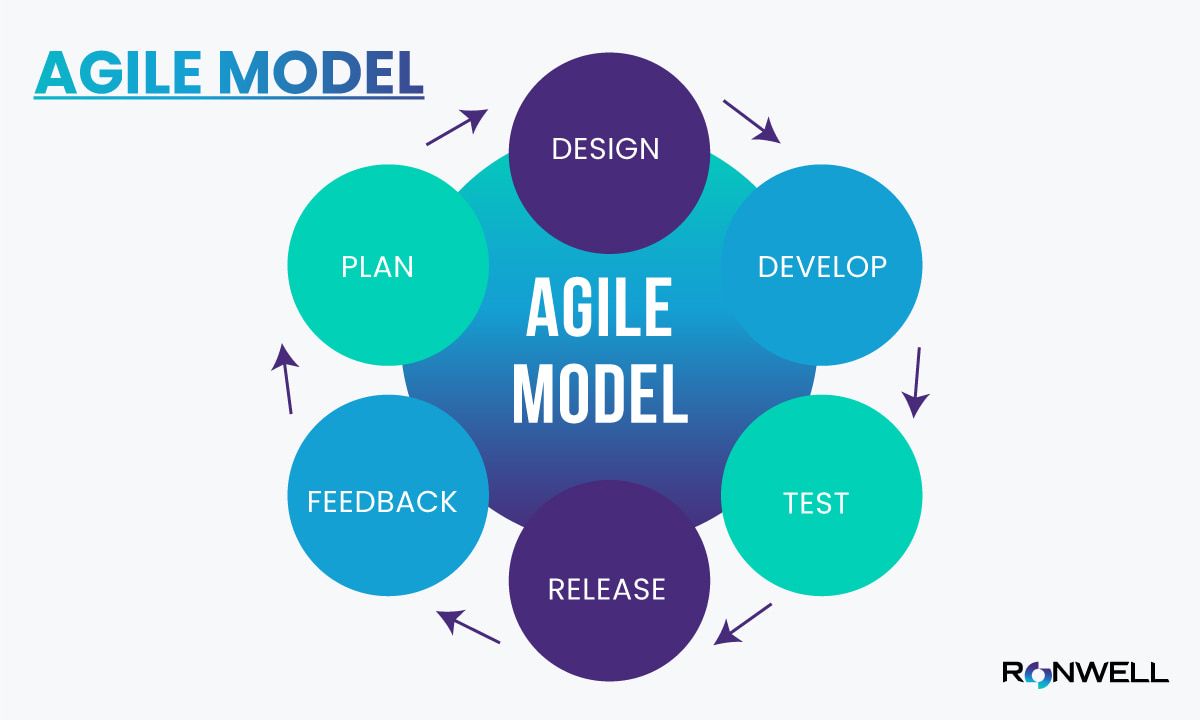 agile-model-.jpg